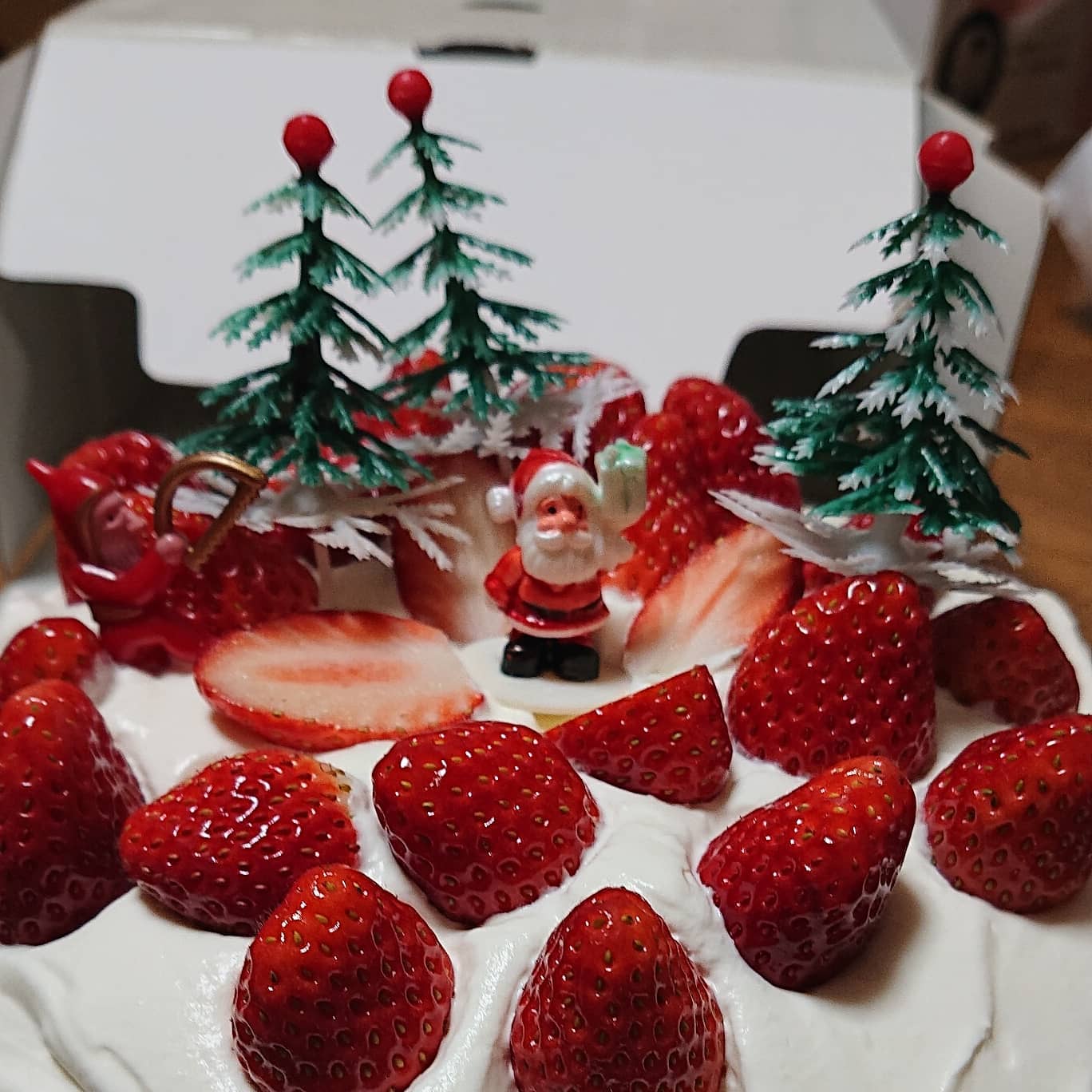 こんばんは
クリスマスイブどうお過ごしでしょうか️

私は朝、少しだけトマトの収穫してから、久しぶりの美容室で仕事をしてきました️
自分がカットしている動画は初めて見ました🤣こんな感じなんですね
今日は美容室の仕事納めでした

夕方は足利市のあんあん弥生店、百頭店に納品してきました(写真を撮り忘れました)

夜はお姉ちゃんとケーキの飾りつけして、家族でクリスマスパーティーをしました

明日は出荷と、イオンとベニマルへ納品です

皆様にとって、良いクリスマスになりますように