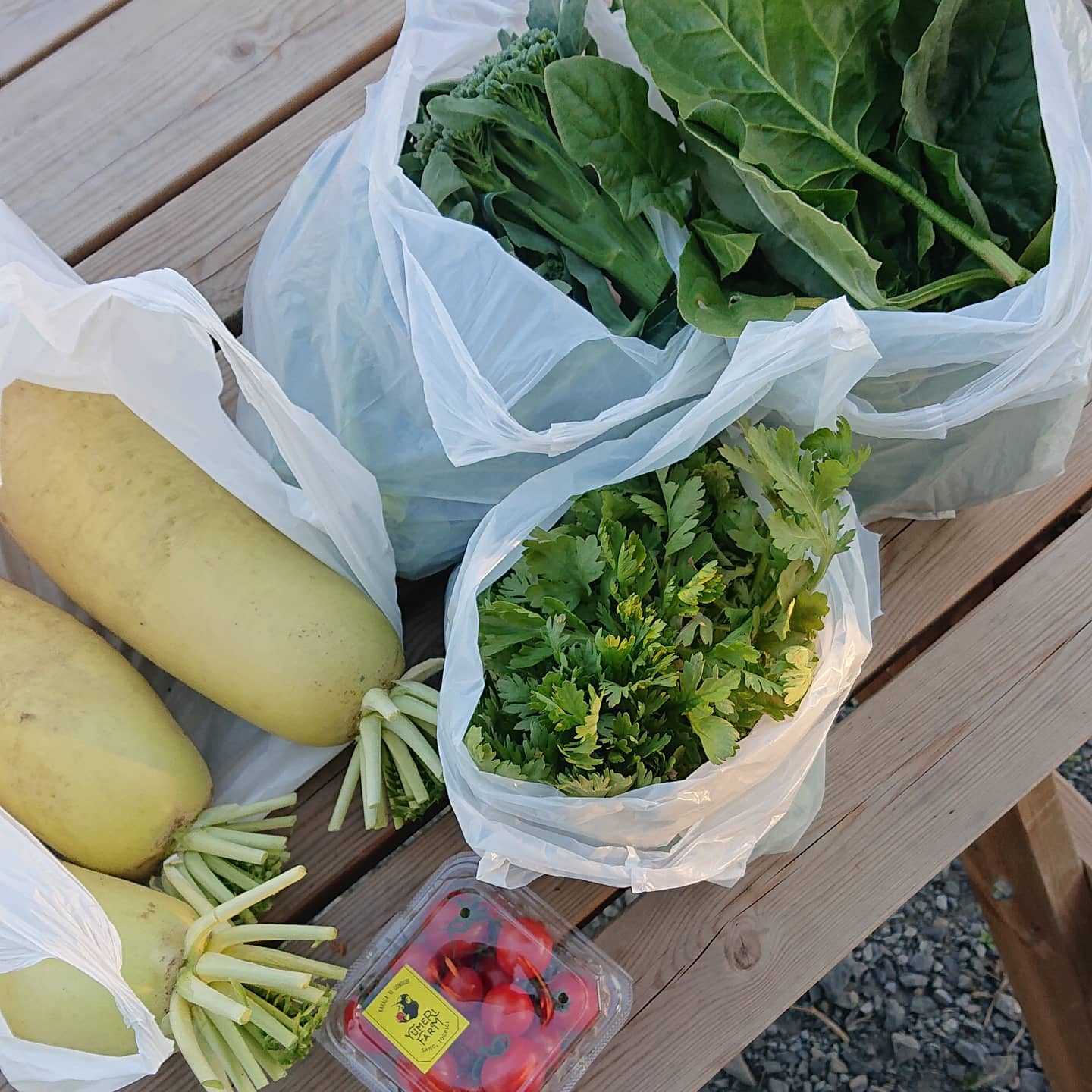 夕方に友人が来たので、自家菜園のお裾分け🥬

こうして見ると、少しづつ収穫出来るようになってきたんだなぁと実感

殺虫はしてないので、よぉーく洗って食べてねと伝えたけど大丈夫だったかな

自分が育てた野菜で、人の笑顔が見られることが嬉しい🤗

育てて良かった🥬