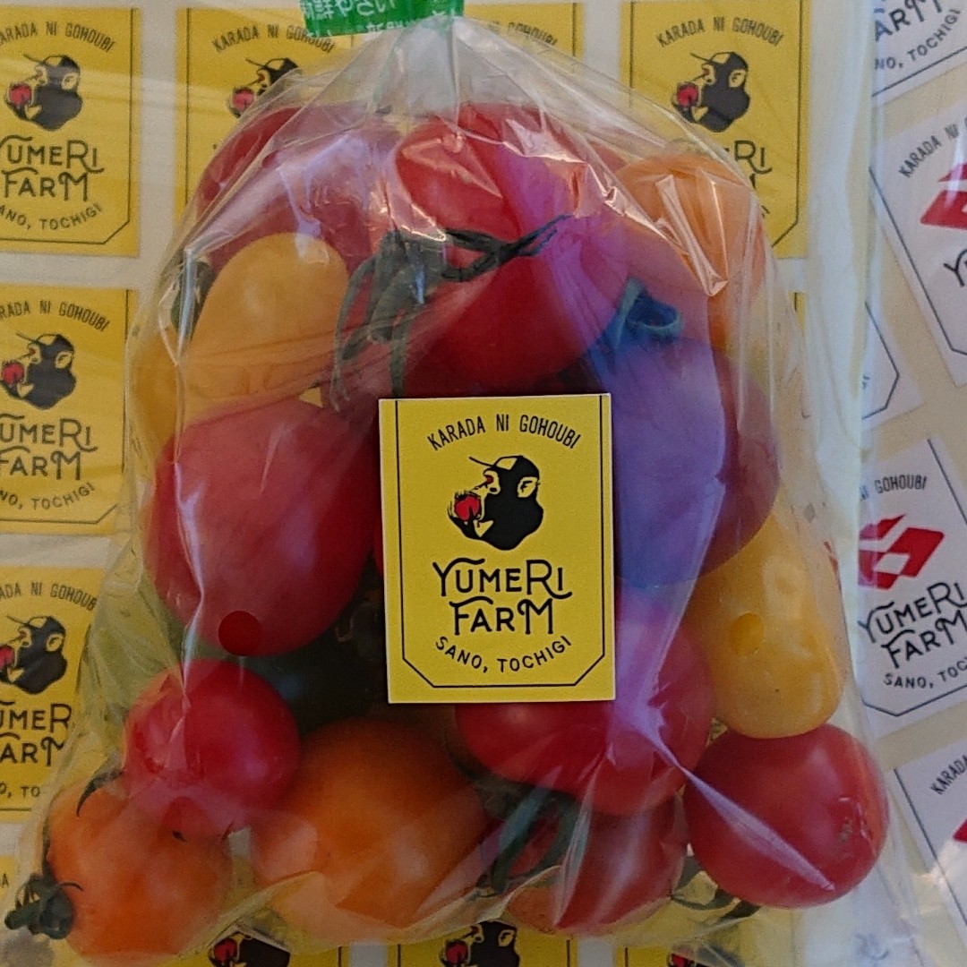 デザイン決まりました
チンパンジーは甘いトマトが大好きなんです️
これからよろしくお願いします‍♀️️