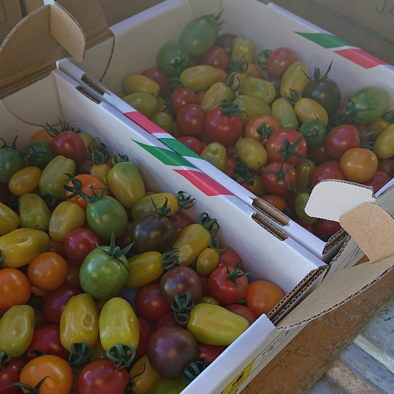 おはようございます️
今日も寒いですね️

昨日、初めて楽天からの注文が入りました
今年からなので、少しずつ注文が増えてくることを願います

気が向いたら、楽天から佐野農協 ミニトマトで検索してみてください
ミニトマトの種類と、もれなく私達夫婦が見れます🤣笑

これから、農協へ出荷へ行ってきま～す
そのあとは、イオン新都心、ベニマルへ納品です

皆様、今日も良い１日をお過ごし下さい️