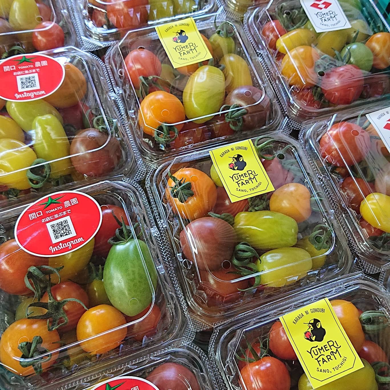 納品してきました
シールもとても良い感じです
しばらくはトマトシールも一緒に入れて、新しいデザインが馴染んできたら切り替えようと思います️

引き続き、是非ご賞味ください