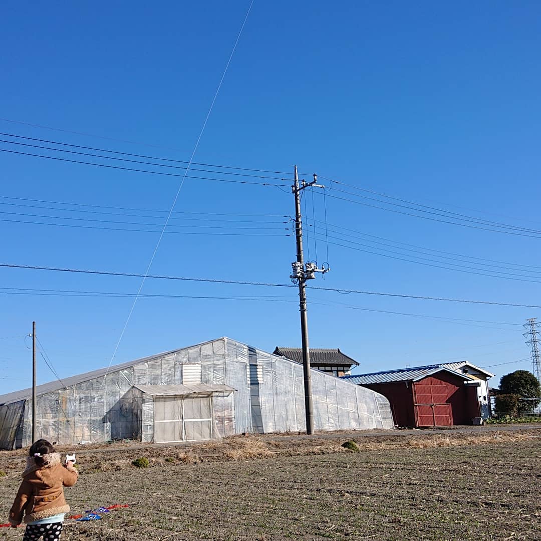 こんにちは
土曜日、どう過ごしていますか

先程、子供達と凧上げをしてきました🪁

下の子の凧の糸が抜けて飛んでいってしまいましたが、なんと、その糸がお姉ちゃんのあげていた凧に絡まりました!!
凄い!!!!
夫婦で爆笑🤣
寒かったけど楽しかったです🪁

連休、どう過ごすか考え中です🙂

皆様、良い週末を
