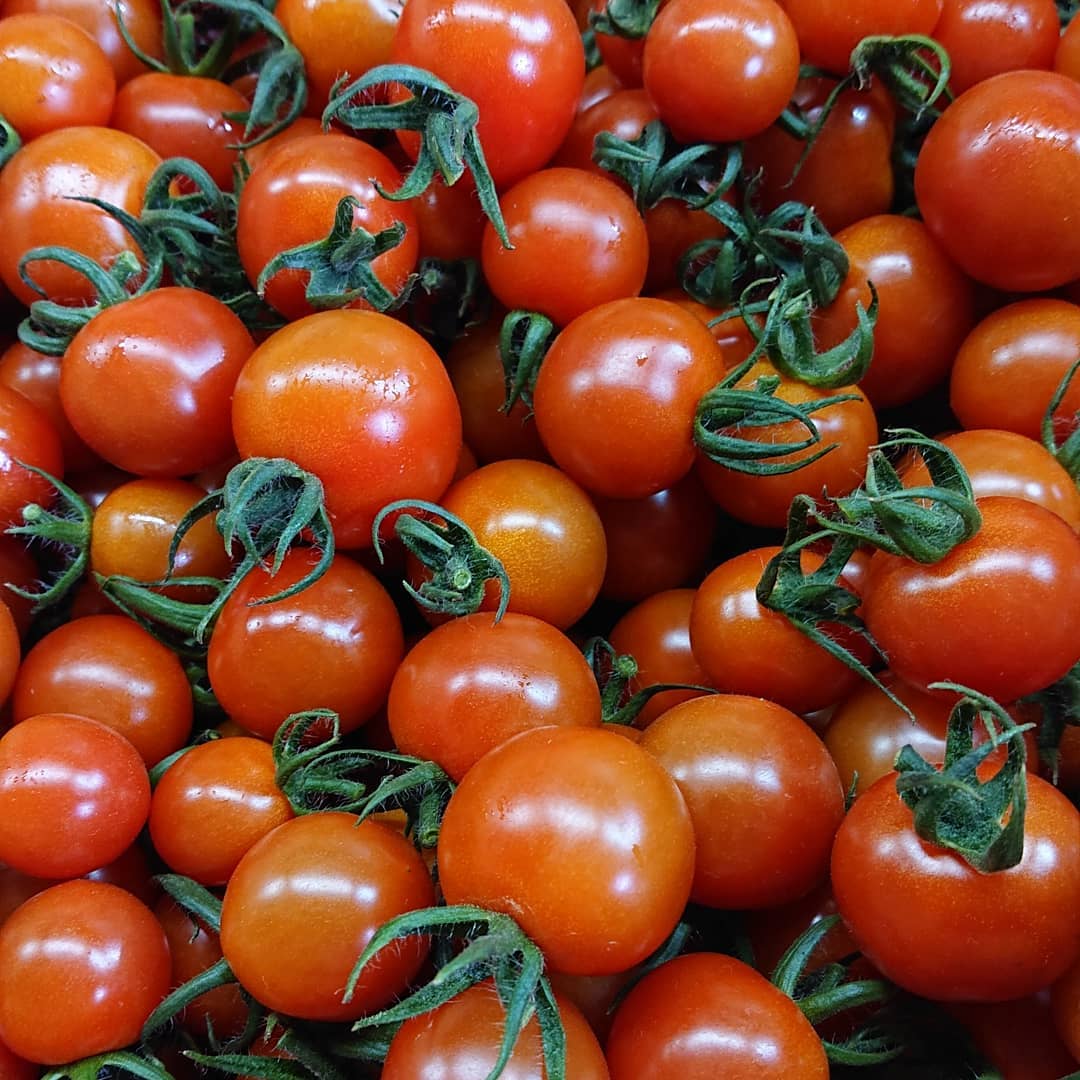 こんばんは
今日は収穫でした️

今日は今シーズン１番の収穫量でした
お昼まで収穫がかかり、午後から箱詰めでした

先程、佐野新都心、ベニマル伊勢山店、田島店、アグリタウンに納品に行って来ました

主人曰く、やっと味がのってきたとのことです
今までのも美味しいのですが、さらに美味しくなりました

是非ご賞味ください