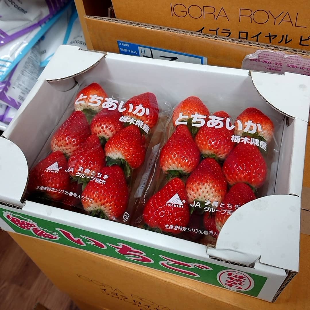 こんにちは️
今日は穏やかな日ですね

私は苺が大好きで、結婚する前はイチゴをやりたい時があり、知り合いにイチゴ農家の仲間がいます

昨日は頼まれたイチゴと差し入れにとちあいかを届けに美容室の職場へ行って来ました️

今日はその差し入れを食べた社員の方から頼まれて先程届けに行きました

私個人的にはとちおとめが１番の美味しいと今まで思っていたのですが、とちあいか……美味しいです

イチゴを頼まれて届けてるトマト屋です🤣

とちあいかはまだスーパーではなかなか見かけないとは思いますが、見かけたら是非ご賞味ください
美味しいですよオススメです

関口農園及びYumeri fromのトマトも美味しいです
よろしくお願いします‍♀️