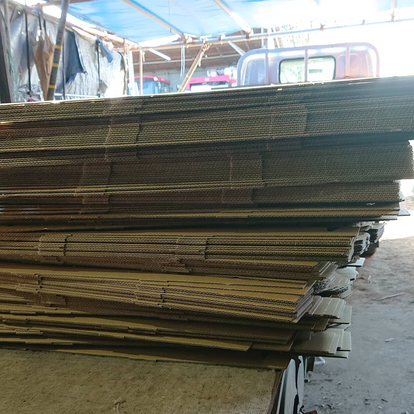 こんにちは

今日は箱折りからスタートです
日に日に収穫量が増えてきているのでその分、箱も折る枚数は増えております
今日は150枚
……折りました
腕が少しダルいですが、折った箱を見ると達成感

最終的にはどのくらいの枚数を折るのだろう🤔
ある意味楽しみです🤣🤣🤣

では、皆様良い１日をお過ごし下さい