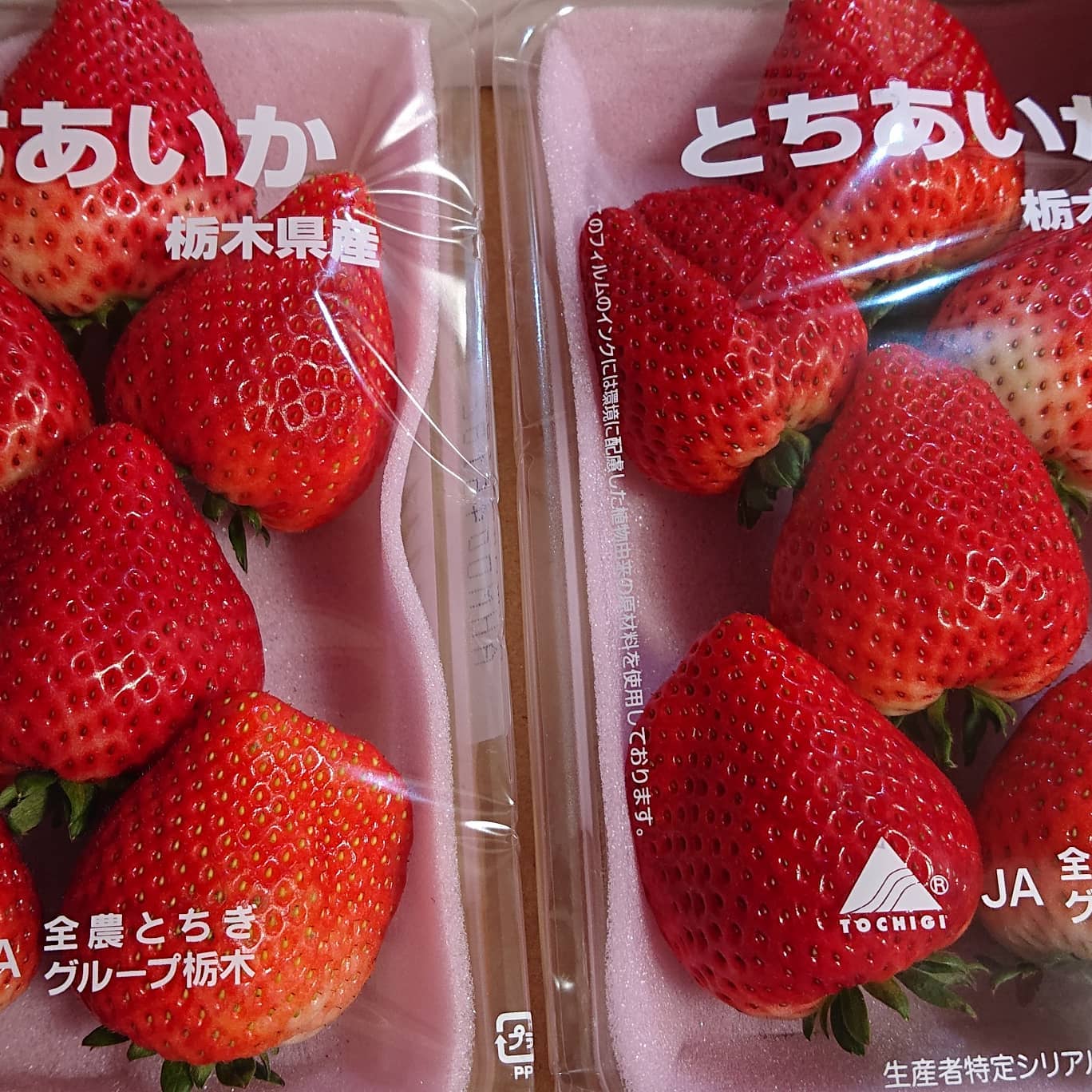 おはようございます️

昨日は知り合いのいちご農家へ、いちごを買いに行って来ました

相変わらずの美味しい
冷蔵庫にいちごが埋まってる……幸せ️️️
とちあいか、めちゃめちゃハマってます️

いちご大好きトマト農家の嫁です

今日はこれから収穫です
頑張ります

今日もよろしくお願いします️