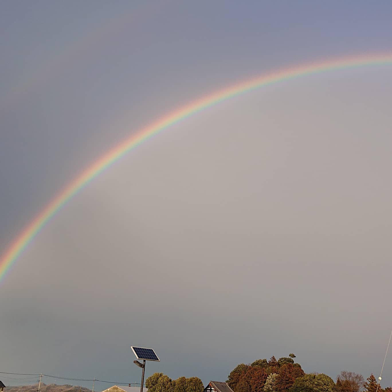 こんばんは
日中は雨が降っていてパッとしない天気でしたが、夕方に止んだらダブルレインボーが見えました
子供達は大興奮
ハウスに着く頃には消えかけていました

いつ見ても良いものですね

明日は収穫です
明日も皆様にとって良い日でありますように☆

では、おやすみなさい🌜️