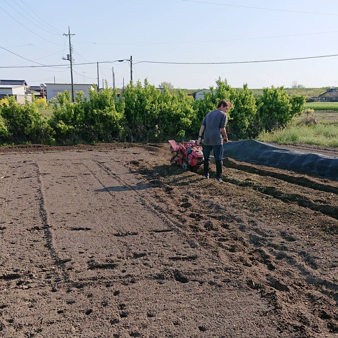 こんにちは

昨日は春休み最後の日でした️
お姉ちゃんと配達、新年度の買い物を行って来ました🛒

夕方に少し時間があったので、主人に夏野菜のベッドを作ってもらいました
あとは合間をみてマルチを張ります

夏野菜の種、早く撒かなくちゃ
やることが沢山あり、気ばかりを揉んでおります🤣

トマトも終盤になってきました
午前中は収穫でしたので、これから箱いれです

頑張ろう