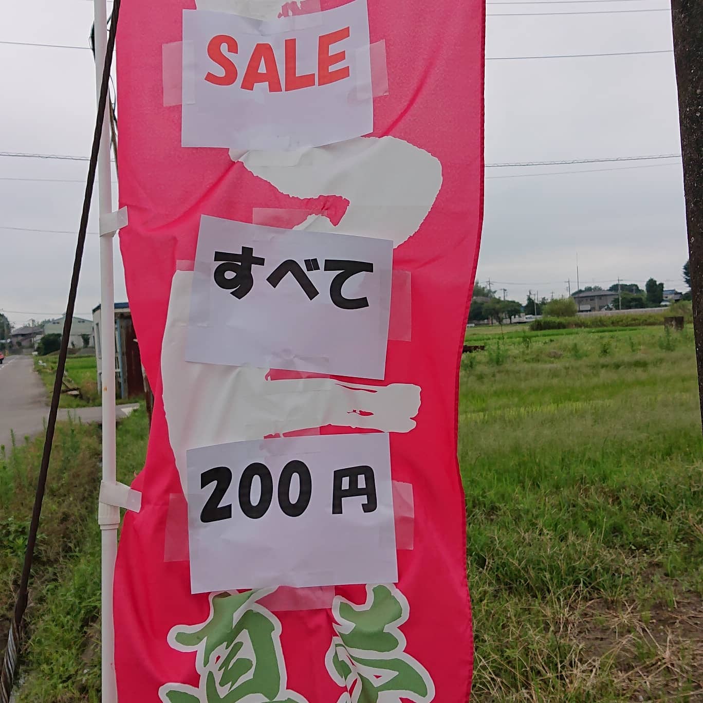 おはようございます

自販機でall200円セール始まりました
大玉トマトはものが良く、いつもよりお安くなっております️
ミニトマトは量が多めです

無くなり次第終了です
今シーズン最後のトマトを是非お買い求めください
お待ちしてます️

今シーズンもありがとうございました‍♀️