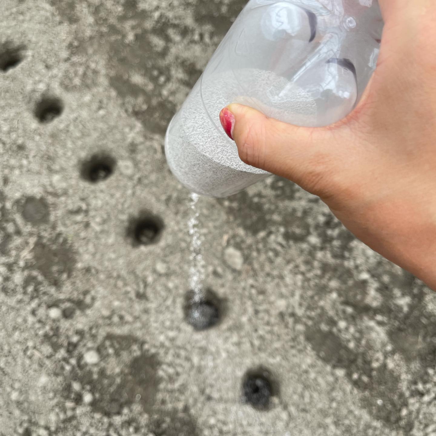 いよいよ明日

こんばんは
今日は明日の定植の最終準備をしました️
コナジラミ、アブラムシ、ハモグリなどなどの虫が寄ってこない薬を撒きました
途中、キノコが生えていていました
それもハウスの南側の西の方だけに…
不思議…

移植したミニトマトも順調に成長しています

いよいよ明日、大玉トマトの苗4000本定植します