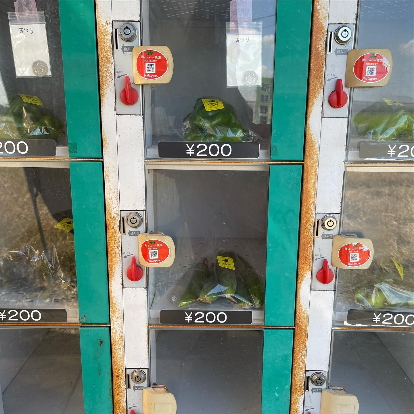 自販機

久しぶりに販売してます
農薬は控えてるので、多少は虫食いなどありますが、その分お安くしています🏻
よろしくお願いします🥺