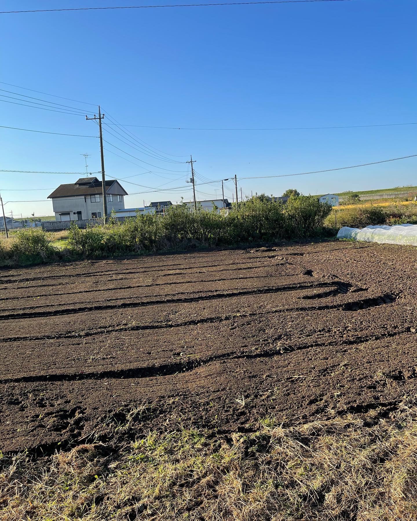 夏野菜🥒🫑

おはようございます🌞

昨日は夏野菜を全て片付けました
まだ採れたのですが、再来週が定植予定なので出来るときに

これから上の子の運動会です
去年は短距離走で転けてしまったので、今年は転けずに無事に走りきって欲しいです‍♀️

良い週末をお過ごしください♪