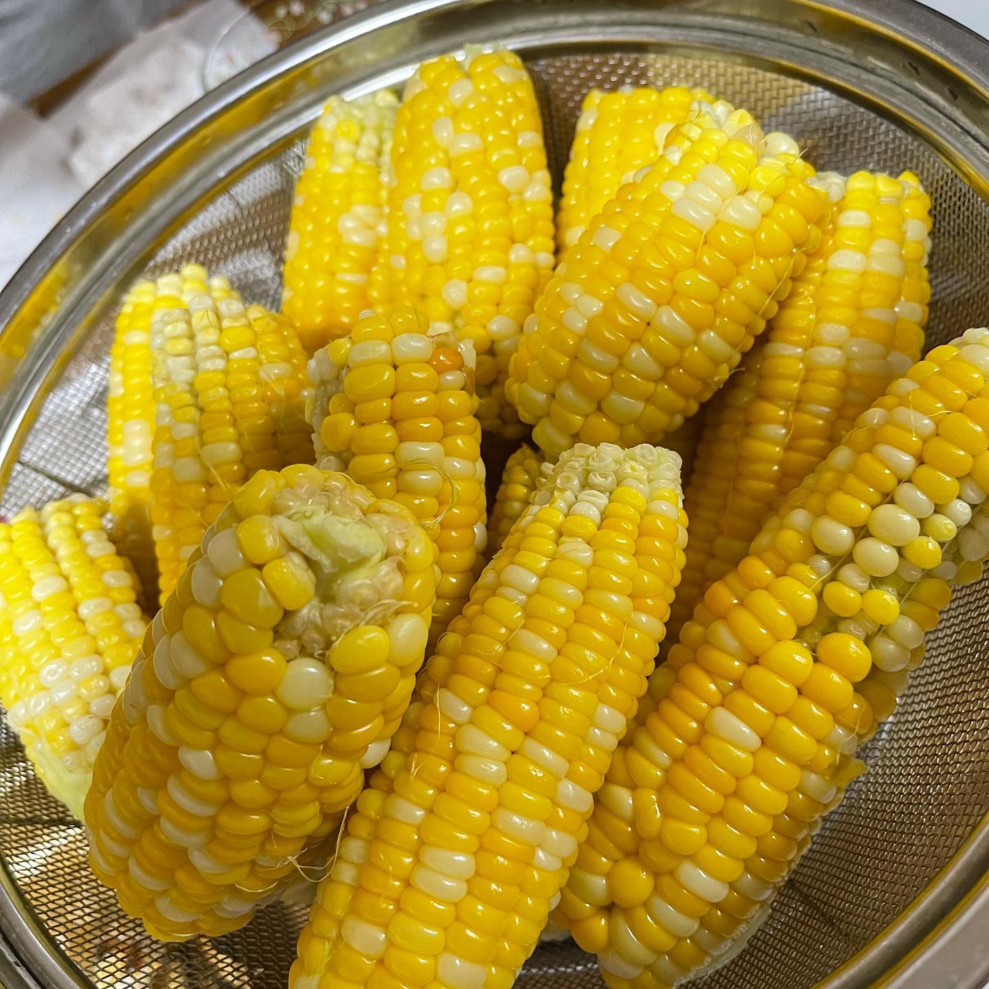 今年最後のとうもろこし

8月1日前後に撒けば秋に食べられるよと聞いて7月30日に播種したとうもろこし
虫食いが多かったのですが美味しかったです
来年もこの時期に食べられるようにやってみようかなぁ🤔