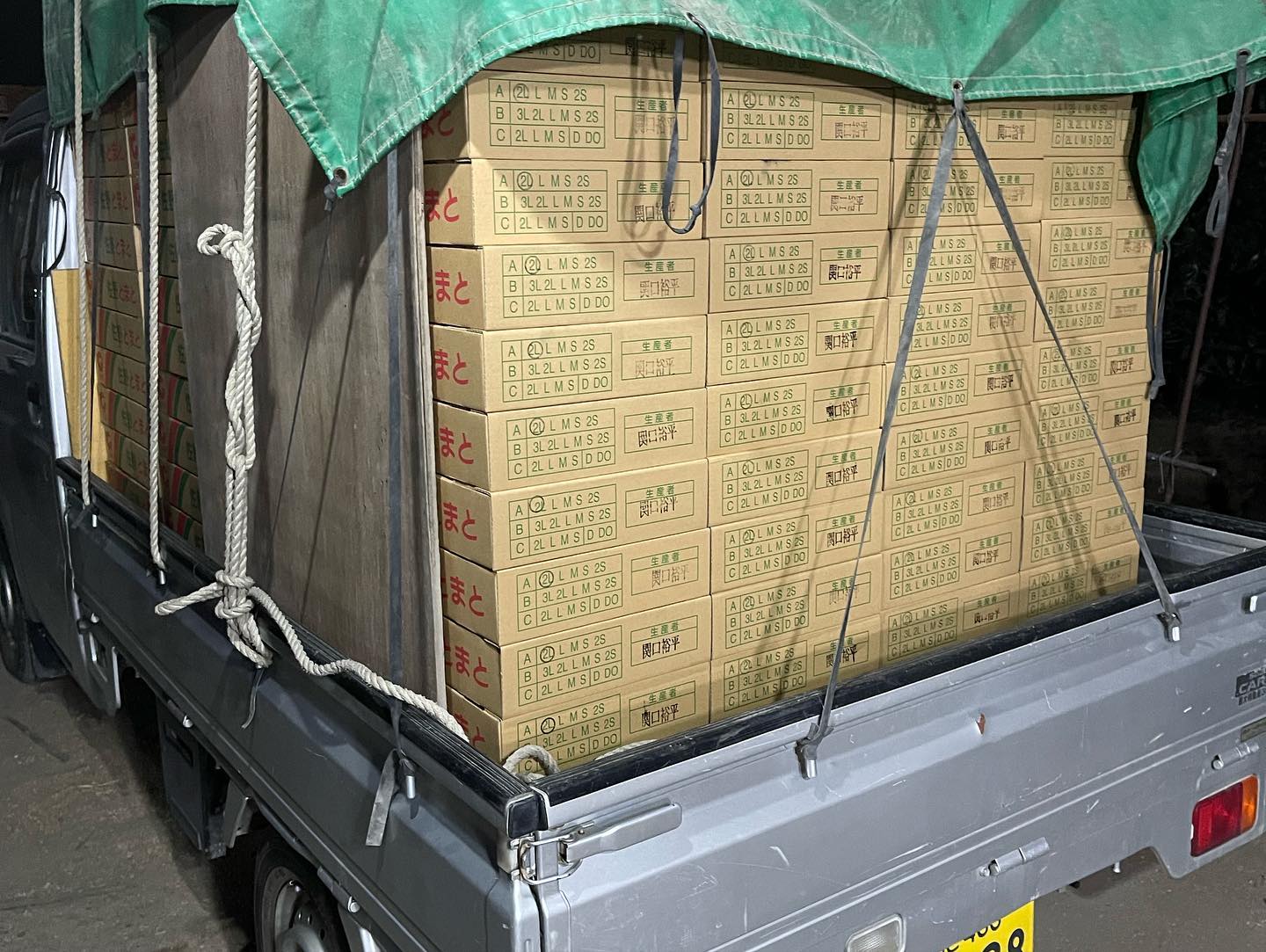 仕事納め

今日の収穫が今年の仕事納めになりました
過去1番の収穫量でした
軽トラにこれでもかっ️って位に乗せて凍らないようにハウスへ移動しました🛻

イオン佐野新都心、ベニマル田島店と伊勢山店に納品しました

今年も残りあと1日
今年もありがとうございました‍♀️
また来年もよろしくお願いします️

良いお年をお迎えください