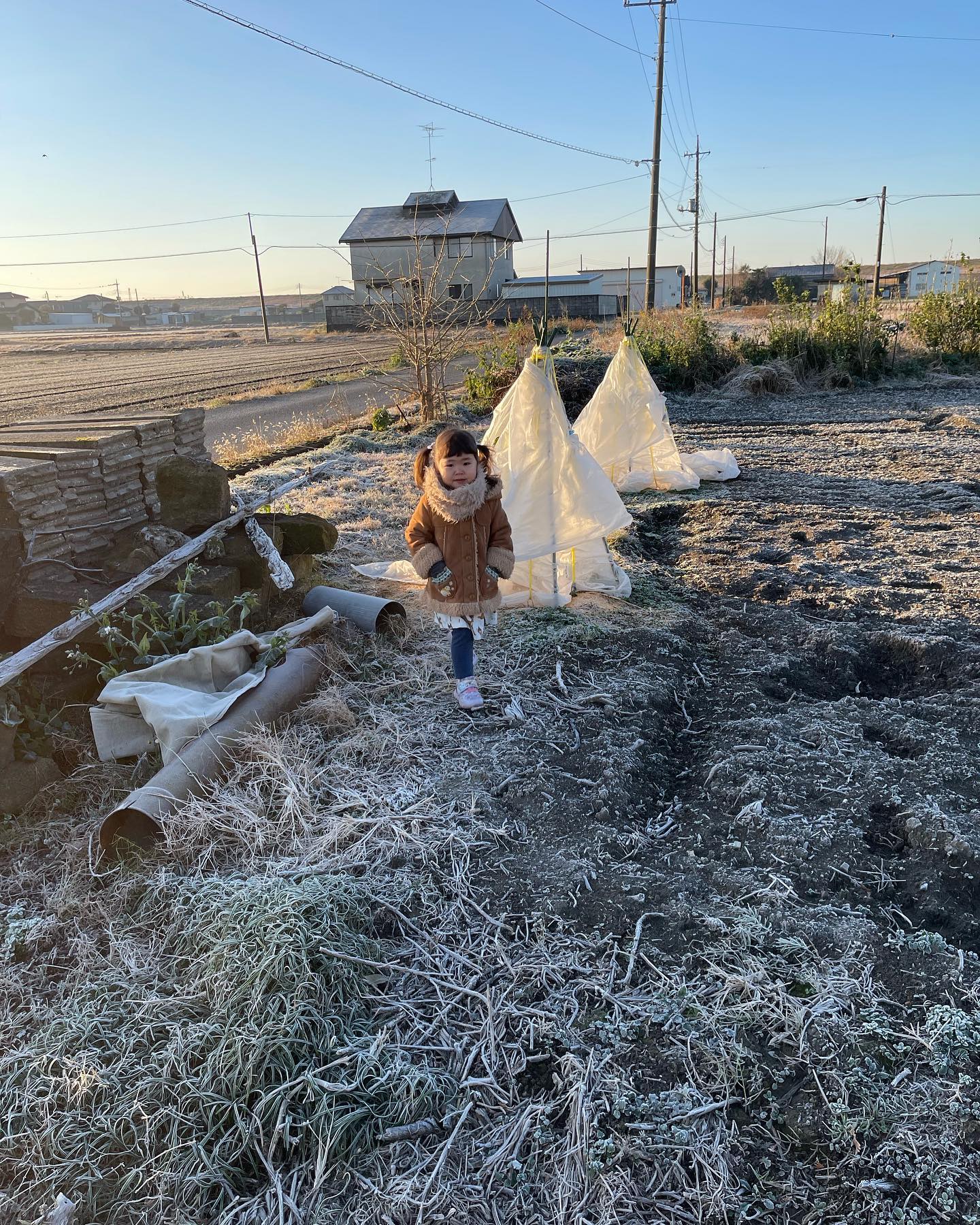 寒い🥶

おはようございます🌞
今朝は霜が凄くて寒かったですね️

畑の隅で育てているせとかの木
去年の冬は寒さ対策を何もしていなくて一本ダメにしてしまいました🥲
失敗を踏まえて、今年はビニールで覆ってみました
子供と毎朝換気の為に少し開けるのが日課です‍♀️
無事に冬を乗り越えられますように