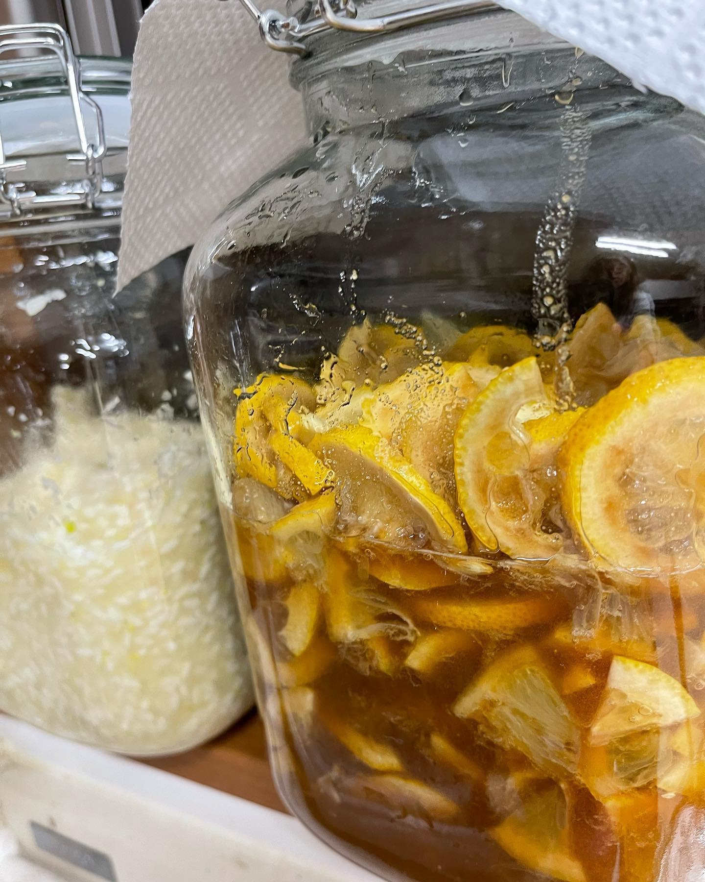 楽しみが増えました

こんばんは🌝

発酵レモンと玉ねぎ麹を作りました

発酵レモンは焼酎と炭酸水で割って飲んだり、私はお酒が飲めないのでレモンスカッシュで子供達と一緒に飲んでみたいと大量に仕込みました

玉ねぎ麹は発酵するとコンソメの代わりになるらしく、料理に使いたいと思います

完成まで約2週間ほどかかるそうです
楽しみ

上手く出来たらトマト麹も作ってみたいです

しばらく発酵にハマりそうです🧡