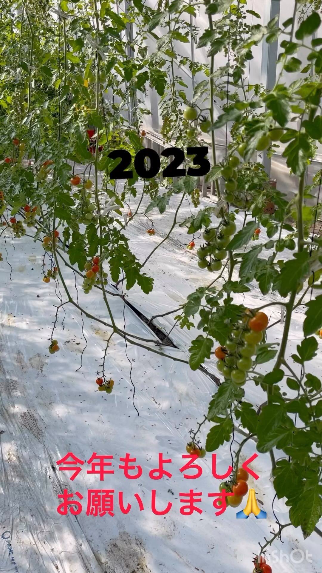 明けましておめでとうございます️️

今日は仕事始めでした
昨年に引き続き、頑張ります🏻
今年もよろしくお願いします‍♀️‍♀️‍♀️