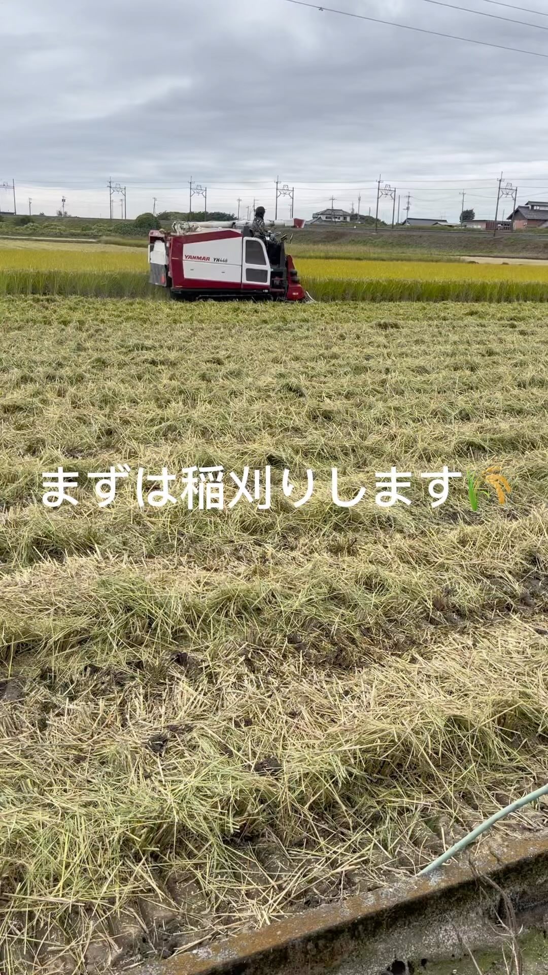 今回は稲刈りから玄米になるまで、と出荷までものすごく簡単に説明してみました
細かい所を色々と動画撮るのを忘れてしまったのでまた来年チャレンジしてみます🏻
