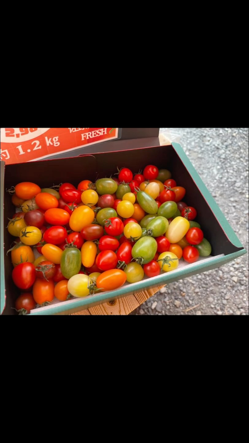 インターネット販売が12月1日から始まりました️

今年は幻の品種ごほうび、大玉トマトの販売も始まります
箱も新しくなりました🏻

カラフルミニトマトも去年は9種類でしたが、今年は13種類とパワーアップしました🏻

販売もYahoo、楽天市場、Amazon、au PAYマーケットと増えました

贈答品にいかがでしょうか
今年もどうぞよろしくお願い致します🏻





PAYマーケット