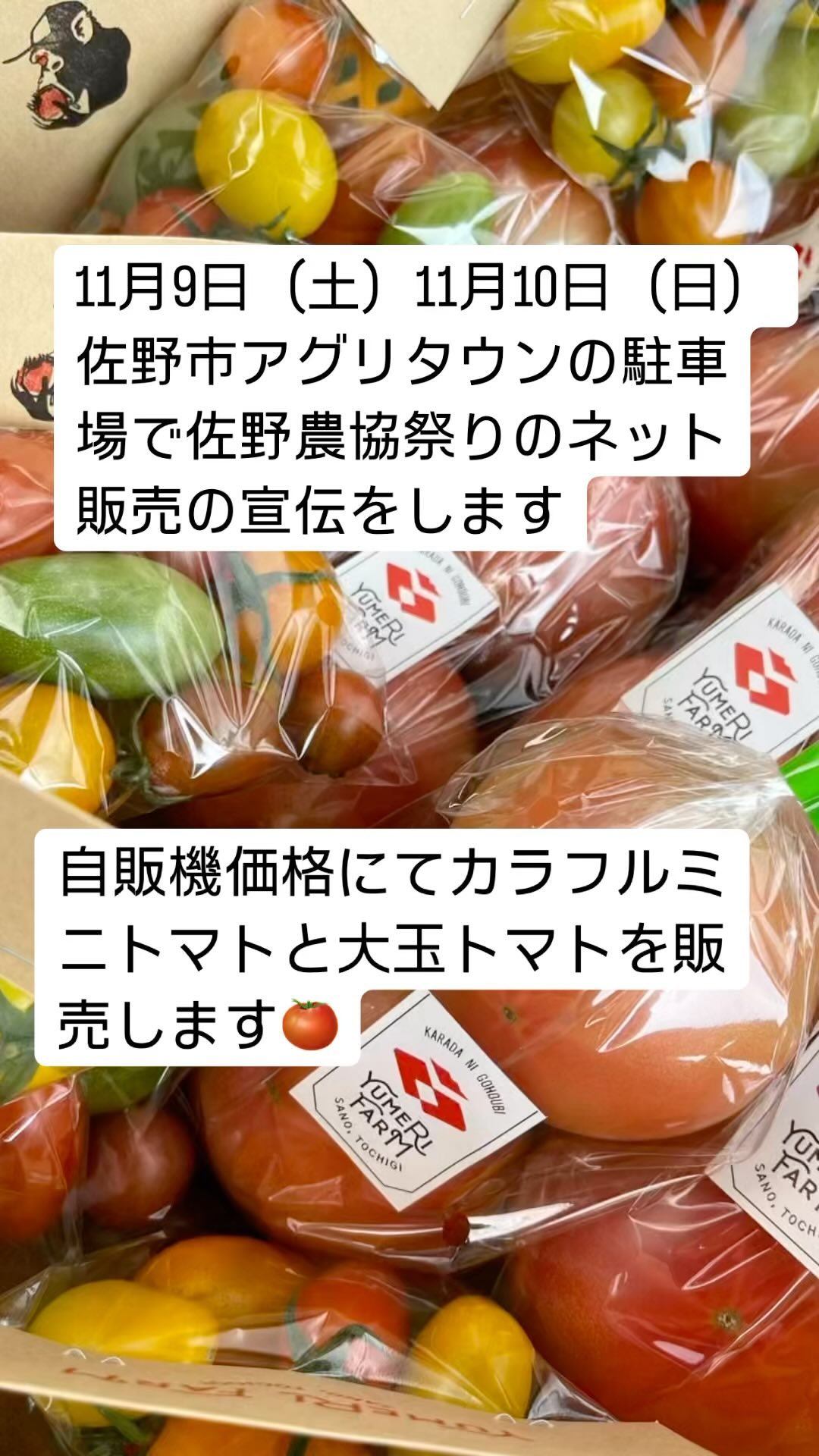今週末の11月9日（土）11月10日（日）に佐野農協祭りをアグリタウン駐車場にて開催します。
ネット販売の宣伝をします🫶🏻
試食はNGなので、自宅の自販機価格でカラフルミニトマトと大玉トマト販売します
格安販売のため、売り切れになってしまいましたらごめんなさい

遠くにお住まいの親戚、友人に佐野産のカラフルミニトマト、大玉トマトのお歳暮、プレゼントはいかがでしょうか

是非お待ちしております🏻