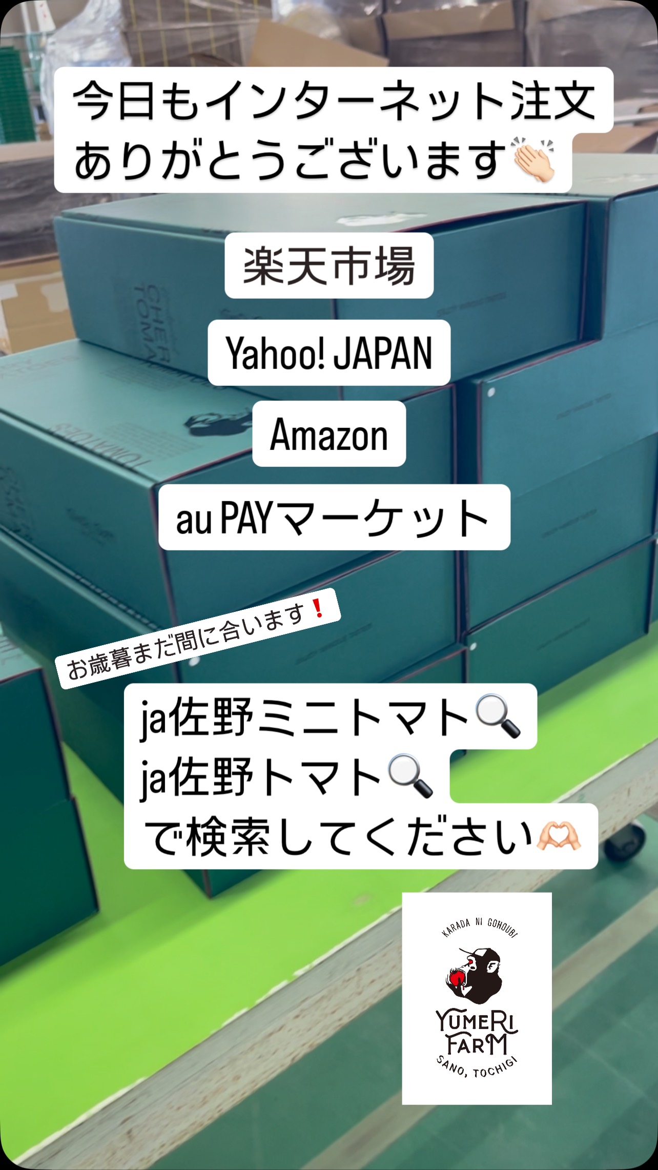 今日もインターネット注文ありがとうございます🏻

ミニトマトの粒も少しづつですが大きくなってきました
お歳暮にまだ間に合います️

# au PAYマーケット
にて販売しております☆
ja佐野ミニトマトja佐野トマト
で検索して是非覗いてみてください🫣





PAYモール