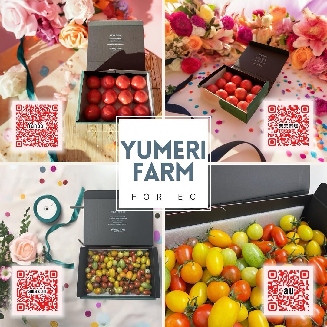 インターネットの販売のお知らせ

楽天市場、Yahoo!ショッピング、Amazon、au ペイモールの4ヶ所で販売しています。

ミニトマトは13種類、大玉トマトは幻と言われている品種の、ごほうびをご用意し、贈答用にピッタリの箱を使用しています

その日、収穫したモノの中から、味と、色と、見た目と、選りすぐりの品をご用意し発送する事で、皆様のご期待に添えるよう努力しております。

是非とも、贈り物や、御自身へのご褒美にしてみてはいかがでしょうか


#Yahoo!ショッピング