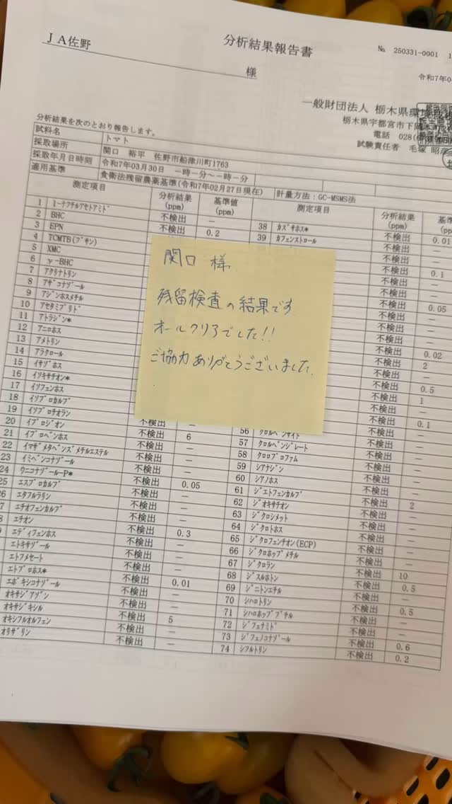 残留農薬不検出️
安心してYUMERI FARMのトマト、カラフルミニトマト食べてください