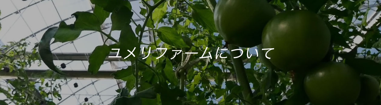 ユメリファームについて