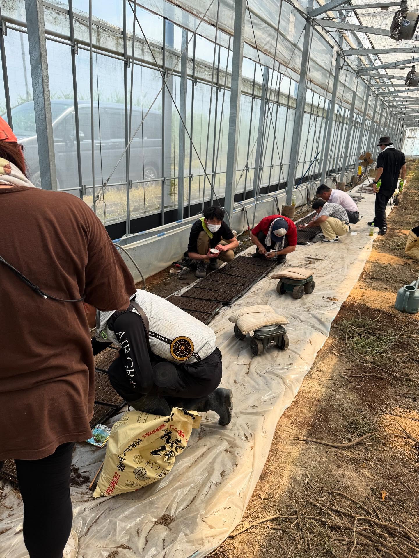毎日暑いですが、元気にお過ごしでしょうか

いよいよ、今シーズンスタートしました️
今日の午前中はミニトマトの根の部分になる種を蒔きました
明後日は13種類のミニトマトの種蒔き予定です

今シーズンは12月中旬辺りには販売できるかと思います❣️
美味しいミニトマトを作って皆様にお届け出来るように頑張ります️

今シーズンもYUMERI FARMをどうぞよろしくお願い致します🏻‍♀️






#よろしくお願いします︎