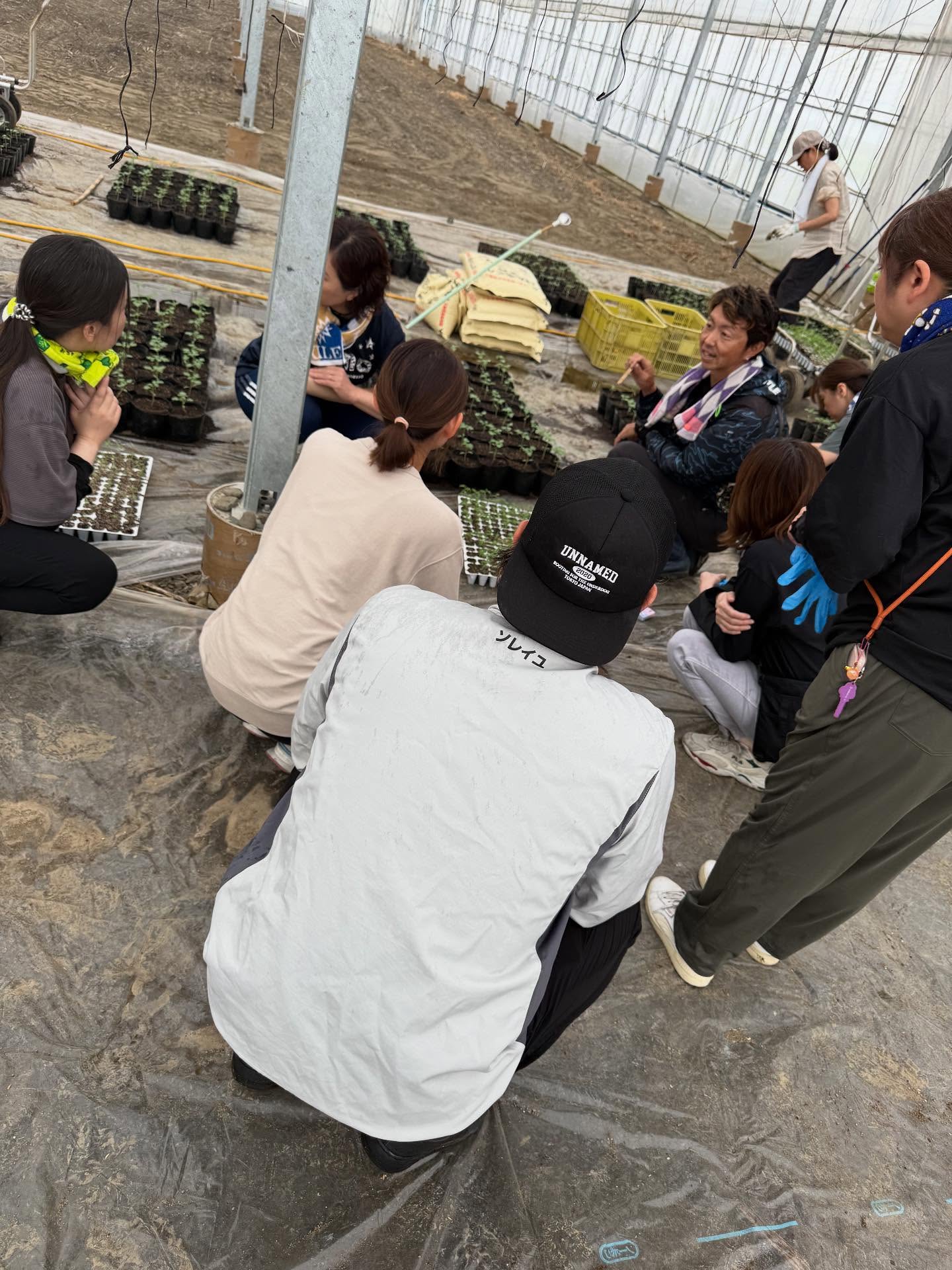 今日は沢山の方が応援に来てくれました🏻
お陰様で移植が早く終わりました🏻
ありがとうございました☆

再来週の接木の練習もしました
苗が順調に育ってくれるのを祈るばかりです🏻