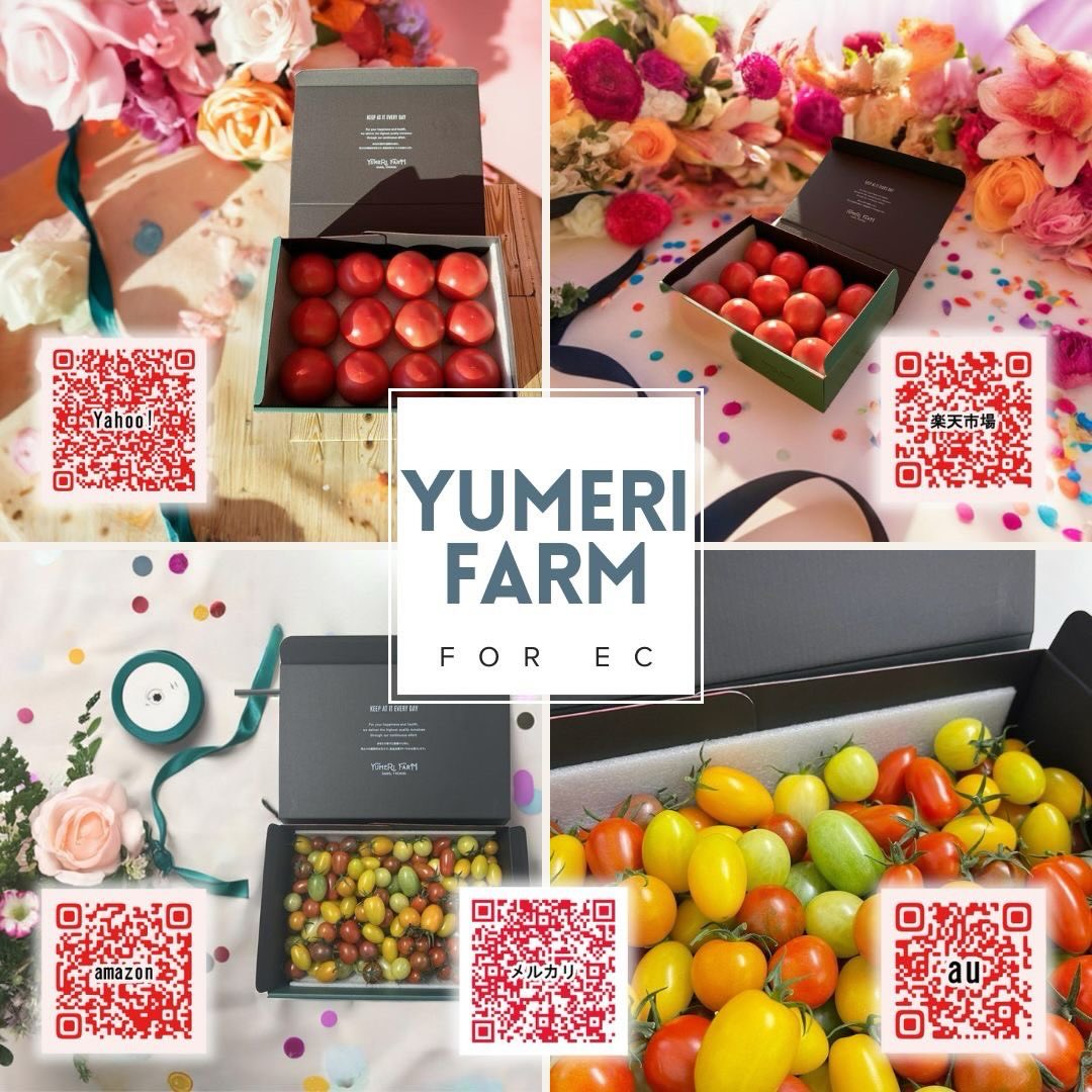 2026年インターネット販売のお知らせ

去年まではAmazon、楽天市場、Yahooショッピング、auPAYモールでした…が、今年はなんとメルカリまで加わり、5カ所での販売となりました🏻（JA佐野様、ありがとうございます️）

ミニトマトは14種類、贈答用にピッタリな箱を使用していています

その日収穫したモノの中から、味と、色と、見た目と、選りすぐりの品を用意して発送する事で、皆様のご期待に添えられるよう努力しております。

是非とも、贈り物や、ご自身へのご褒美にいかがでしょうか